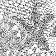 starfish Pagine Di Culore Stampabile